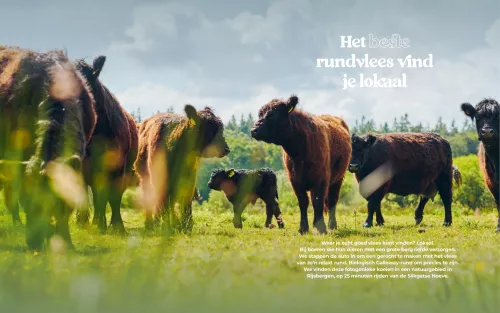 Smokin' Flavours Gezonder BBQ’en (9789083476933)