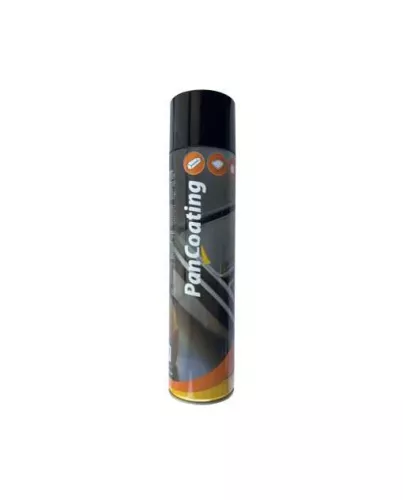 sonneveld Sonneveld Pancoating Gietijzer spray (12691)
